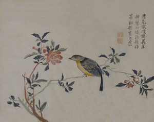 Bird on a Flowering Branch by Unbekannt