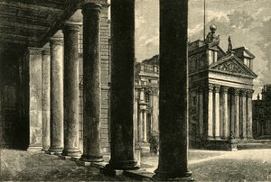Blenheim. North Aspect