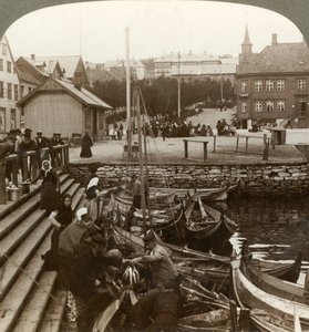 Buying Fish in a Busy Arctic Trading Port, Tromsoe, Northern Norway