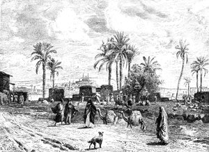 Cairo seen from the left bank of the Nile, 1881