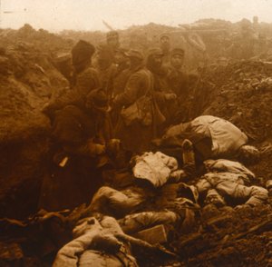 Captured Trenches, Les Éparges, Northern France