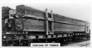 Carload of Douglas Fir, Canada, 1920s