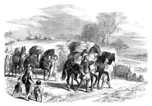 Carrying bread to London on pack-horses, c1895 by Unbekannt