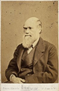 Charles Darwin, English naturalist