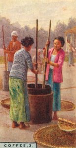 Coffee, 3. Hulling the Beans, Java