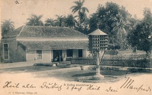 Coffee Plantation