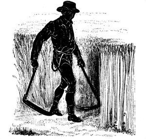 Crop rotation: reaping with a Hainault Scythe by Unbekannt