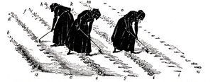 Crop Rotation: Women Thinning Turnips, 1855