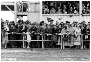 Crowd at the Races by Unbekannt