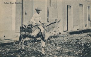 Cuban Fruit Peddler, c1908