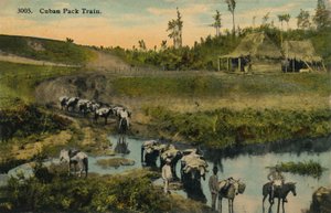 Cuban Pack Train