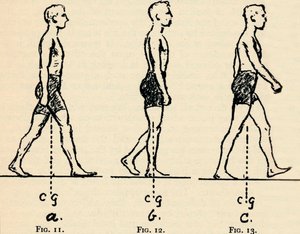 Depicting Main Principles of Locomotion, 1940 by Unbekannt