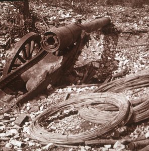 Destroyed 155 Gun