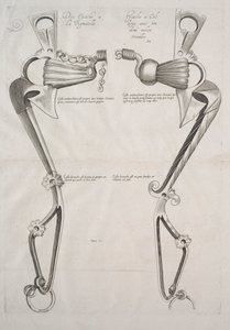 Diagram for Horses Bit