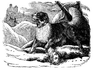 Dog from the Hospice of St Bernard Finding a Traveller in the Snow