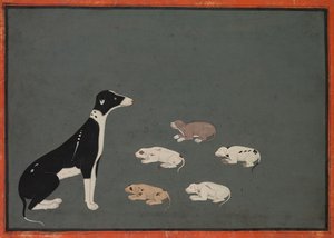 Dog with Pups by Unbekannt