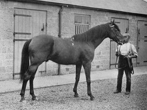 Donovan, 1886-1905