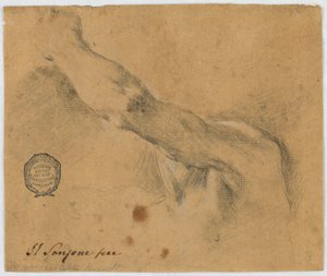 Study - The Left Arm and the Neighboring Parts of the Body of an Elderly Man by Unbekannt