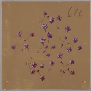 Drawing, from Saint Germain - Volumes 1 & 2 by Unbekannt