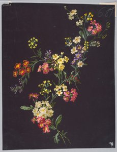 Drawing, from Saint Germain - Volumes 1 and 2 by Unbekannt