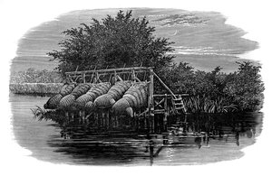 Eel Bucks on the Thames
