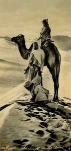 Egypt - The Prayer in the Desert