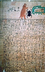 Egyptian Hieroglyphs from a Book of the Dead