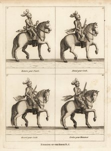 Exercise of the Horse