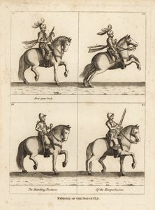 Exercise of the horse by Unbekannt