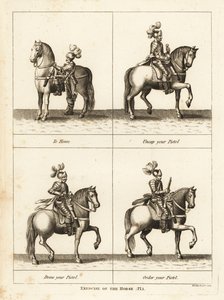 Exercise of the Horse by Unbekannt