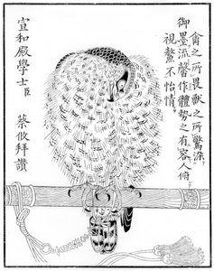 Falcon, 1886 by Unbekannt