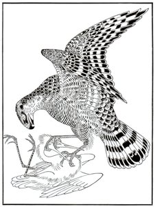 Falcon and egret, 16th century 1886 by Unbekannt