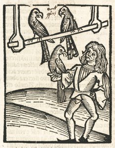 Falconer with goshawks