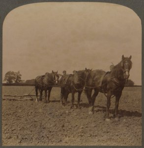 Farming in England - Harrowing the Land by Unbekannt