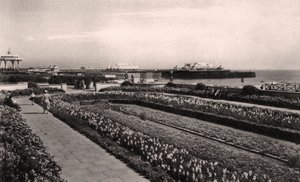 Floral gardens and the West Pier, Brighton, Sussex by Unbekannt
