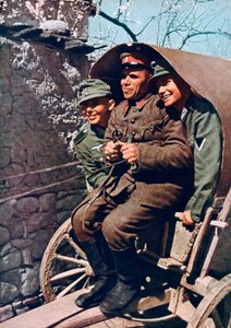 German alpine troops in a cart with a Bulgarian soldier, Struma Valley, Bulgaria by Unbekannt