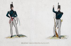 German soldiers from the Waterloo period by Unbekannt