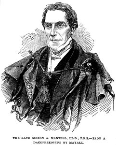 Gideon Algernon Mantell, English Geologist