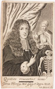 Gideon Harvey, English physician