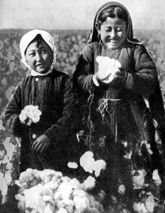 Girls in a cotton field, Kazakhstan