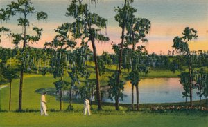 Golfing, a Year Round Sport in Florida by Unbekannt