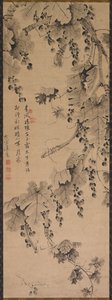 Grapevine, 1700s to 1800s
