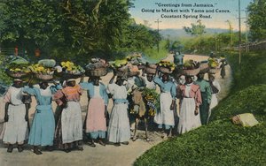 Greetings from Jamaica. Going to Market with Yams and Canes. Constant Spring Road by Unbekannt