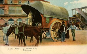 Habana - A Merchant Cart, Carromato, c1910