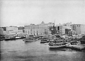 Harbour Ferry Boats at Circular Quay