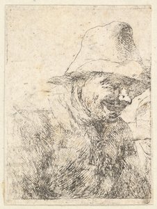 Head of a Peasant
