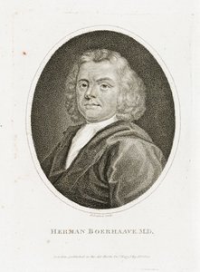 Herman Boerhaave, Dutch Physician, Chemist and Botanist, Early 18th Century