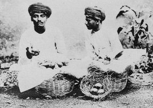 Hindu fruit sellers, India