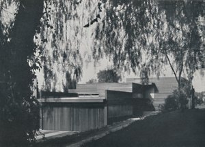 House at Los Angeles by Richard J. Neutra - The aspect from the road approach