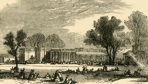 Houses of the Carnivora